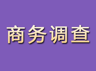 镜湖商务调查